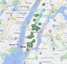 Sustainable Restaurants to Know About in NYC